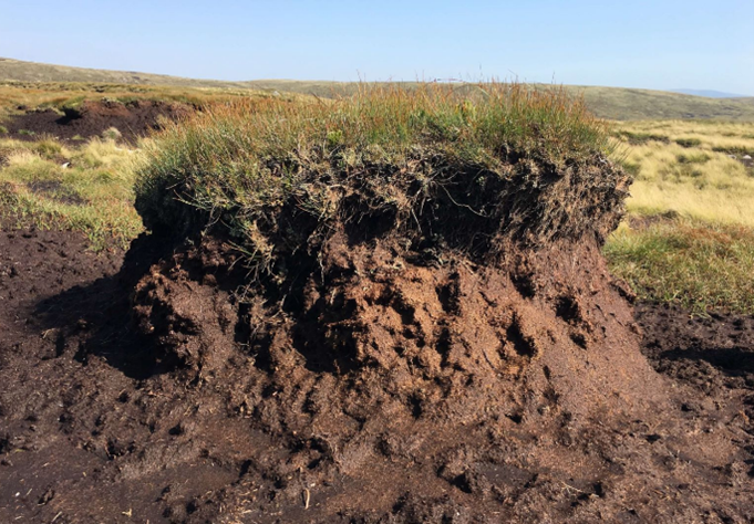 Exploring Loam-Free Composts: Materials, Methods, Advantages and the Peat Debate