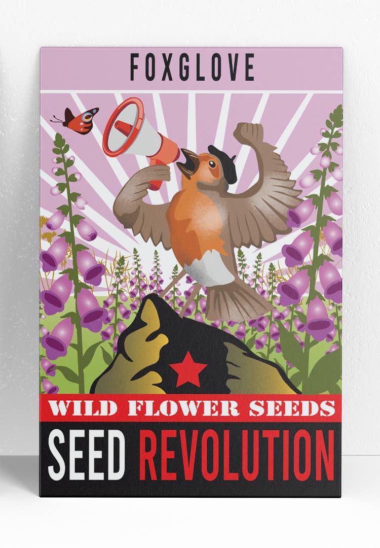 Foxglove Wildflower Seeds – Native Cottage Garden Favourite