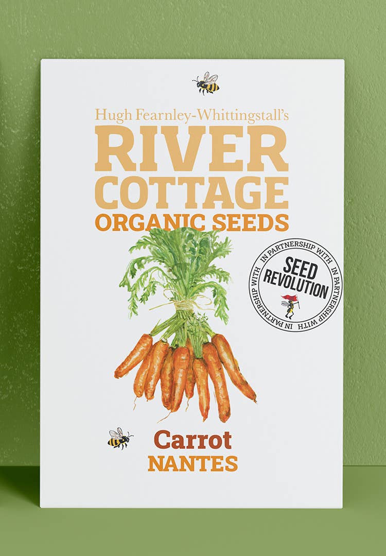 Organic Carrot Seeds Nantes 2 | River Cottage Classic