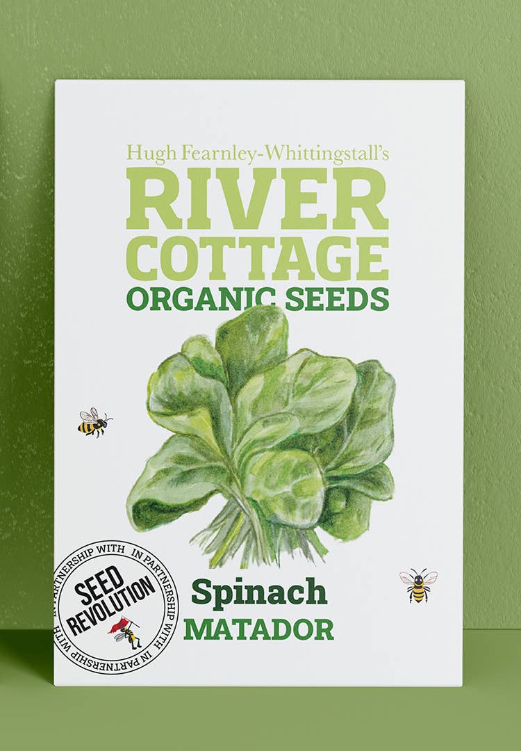 Organic Spinach Seeds Matador | River Cottage
