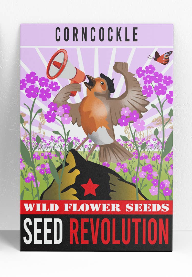 Corncockle Wildflower Seeds – Classic Cottage Garden Annual