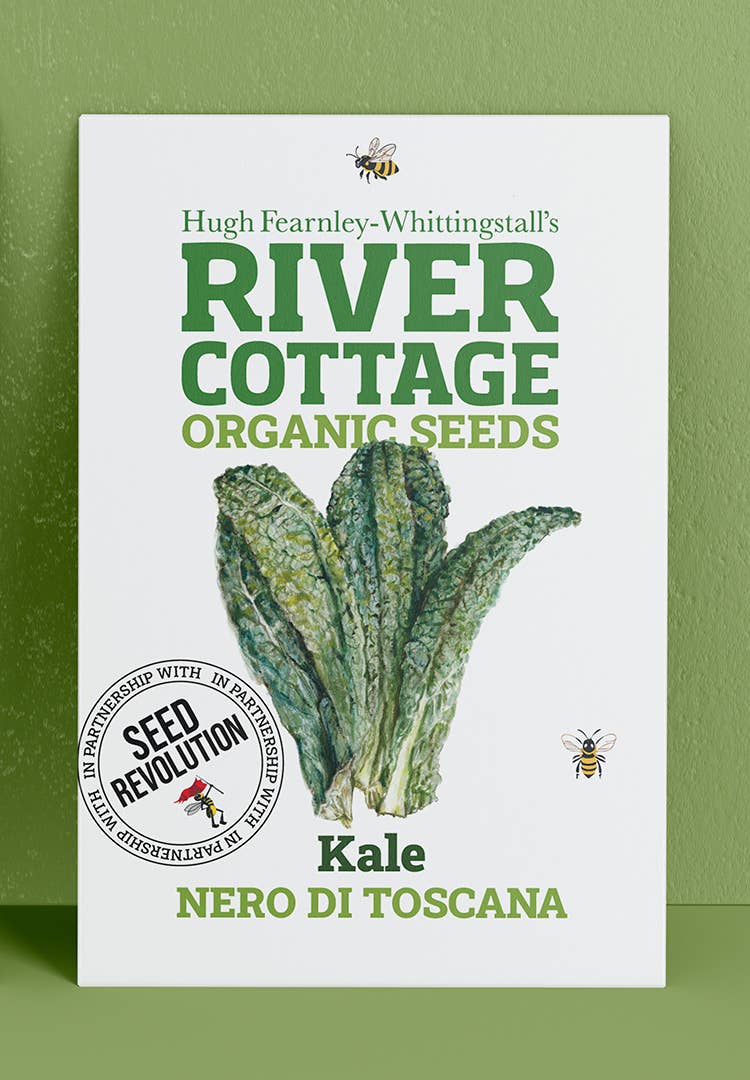 Organic Kale Seeds Nero Di Toscana | River Cottage