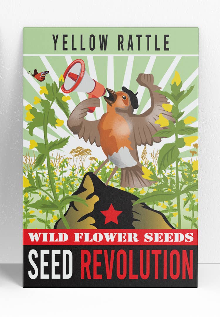 Yellow Rattle Wildflower Seeds – Native Meadow Grass Control