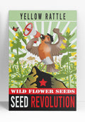 Yellow Rattle Wildflower Seeds – Native Meadow Grass Control