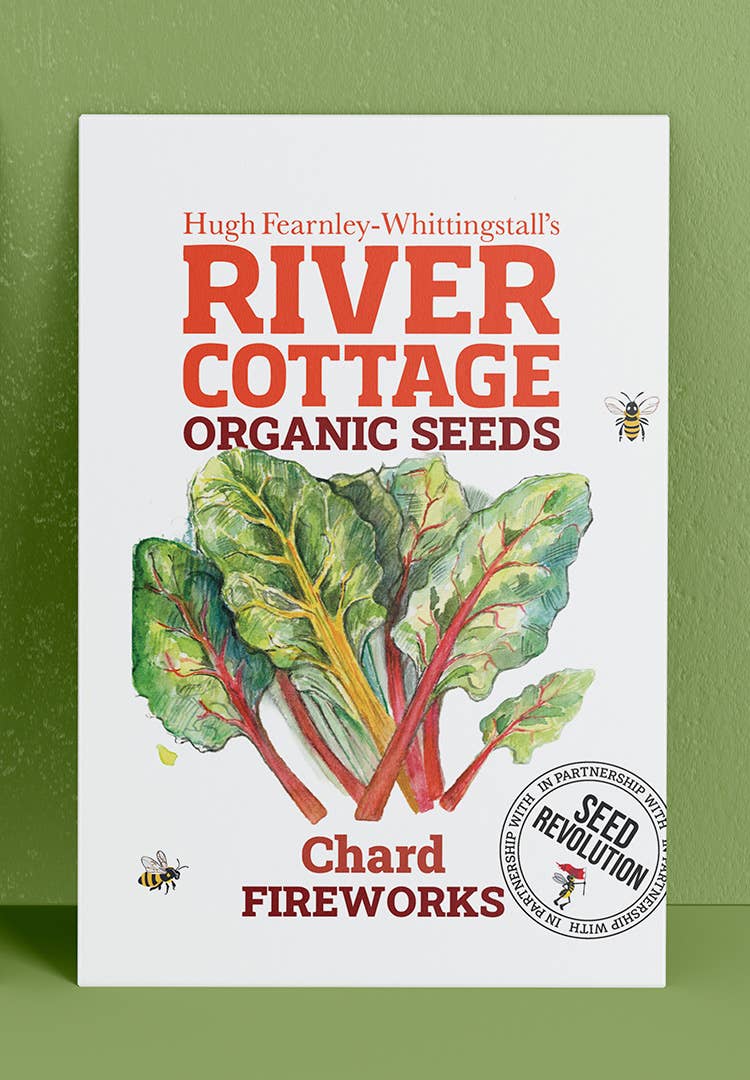 Organic Chard Seeds Fireworks | River Cottage Colour Mix