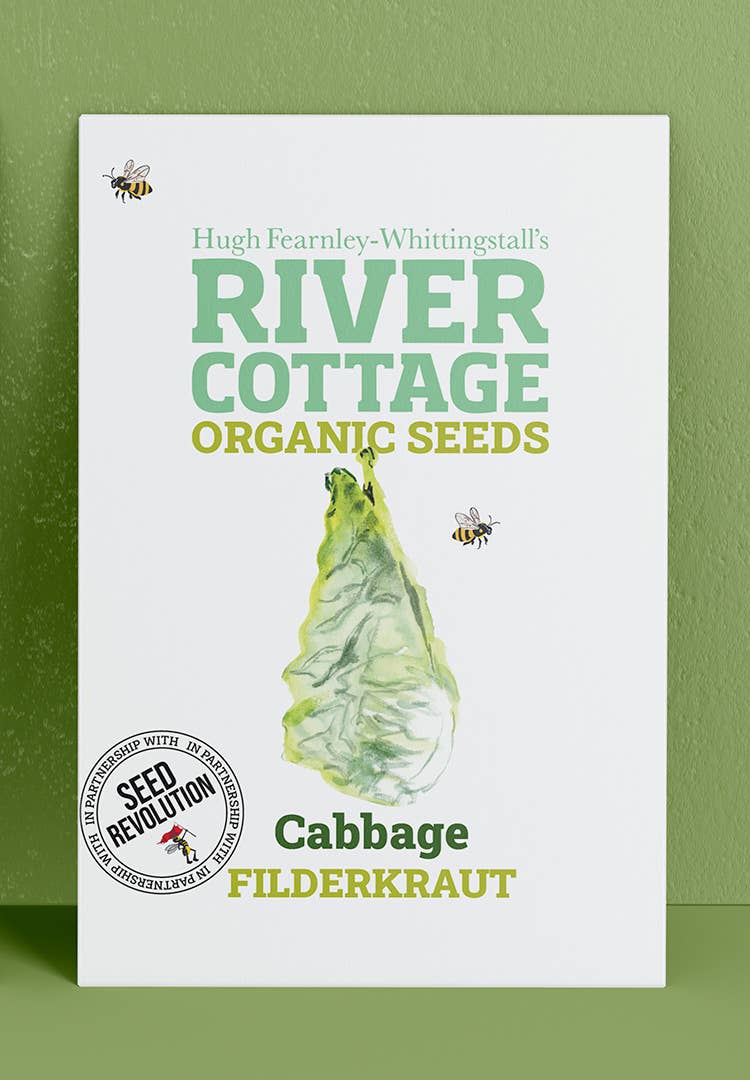 Organic Cabbage Seeds Filderkraut | River Cottage