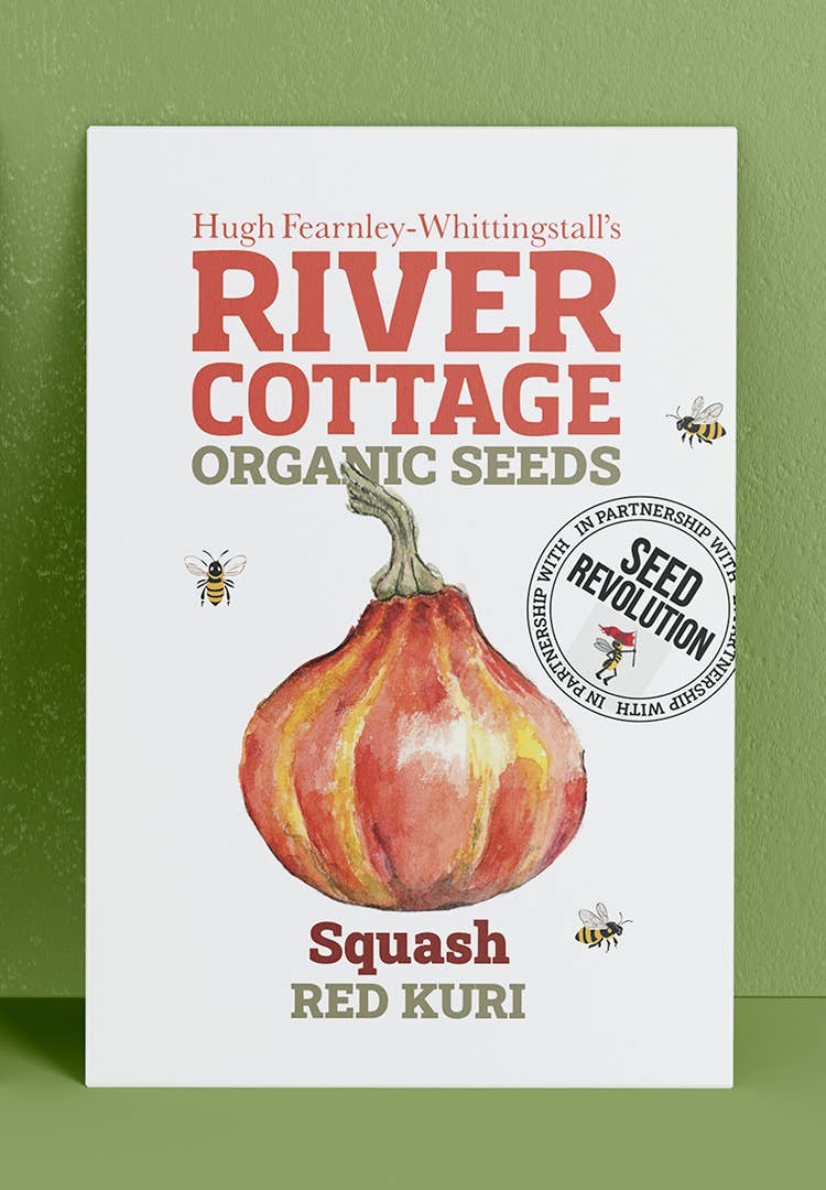 Organic Squash Seeds Red Kuri | River Cottage