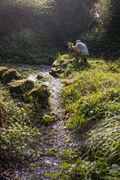 Gardening Business Start-Up Coaching